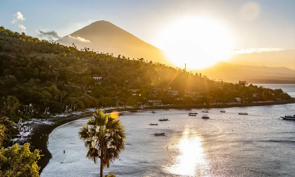 5 (8)